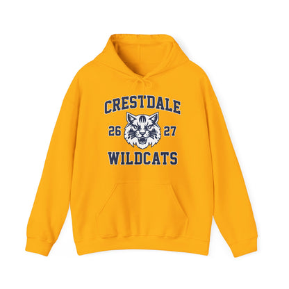 Personalized Crestdale Wildcat Hoodie — Vintage Collegiate Wildcat Sweatshirt - Athlete's Name & Number