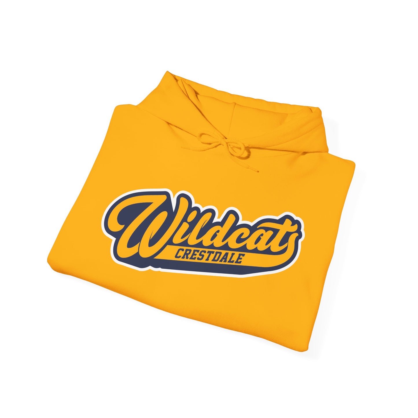 Crestdale Wildcats Retro Hoodie